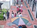Tn UKM 6667